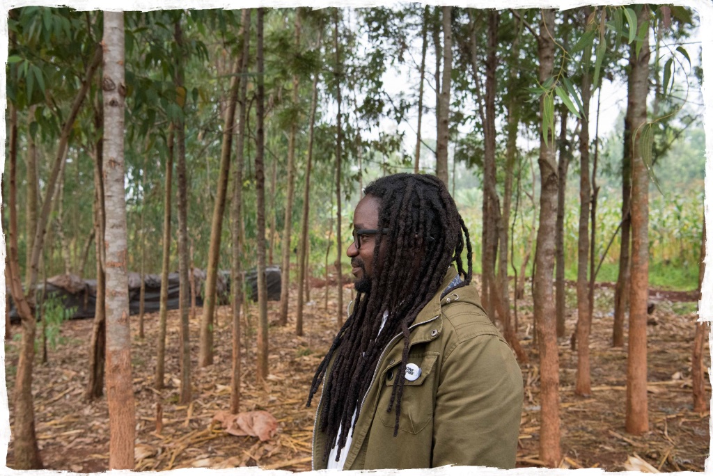 Tree planting for the Miti Ni Dawa project